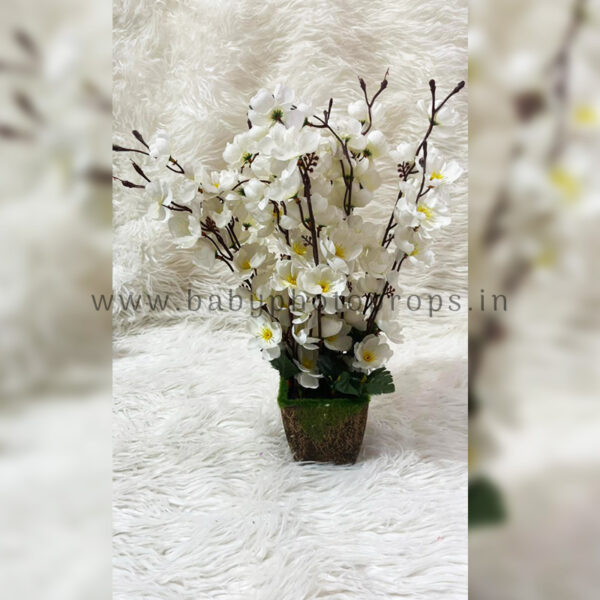 White Flowers with Pot