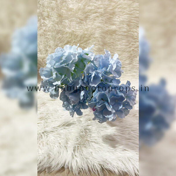 Premium Hydrangeas Ice Blue